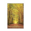 Covor, Eexfab859, 100x200 cm, Multicolor