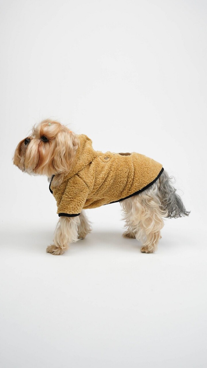 Hanorac pentru câini, Paws &amp; Whiskers, Teddy Welsoft Jacket, Verde - imagine 3