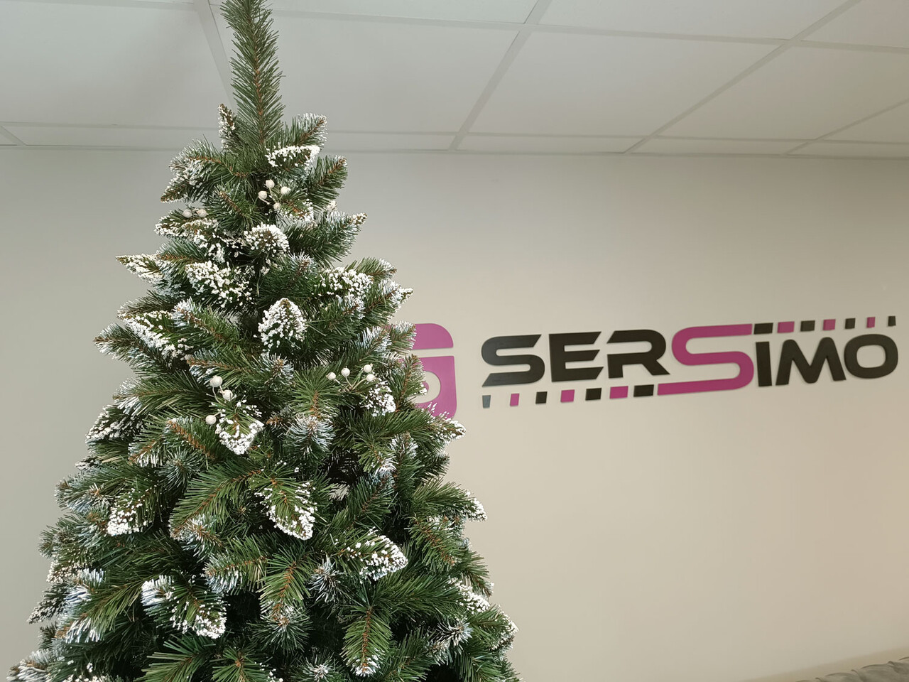Brad artificial Christmas Deluxe by Sersimo, Crystal nins cu merisoare, 2D, 250cm - imagine 16