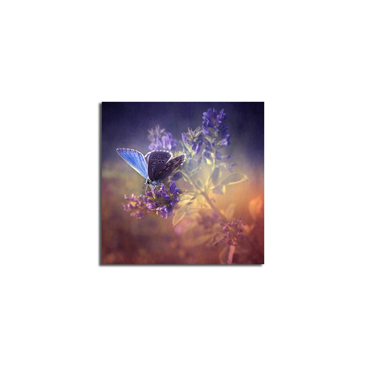 Tablou decorativ, 4545K-36, Dimensiune: 45 x 45 cm, Multicolor - view 4