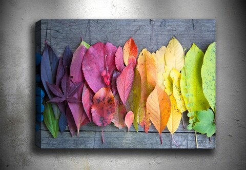 Tablou decorativ Autumn Palette, Tablo center, 70×100 cm, canvas, multicolor 70x100