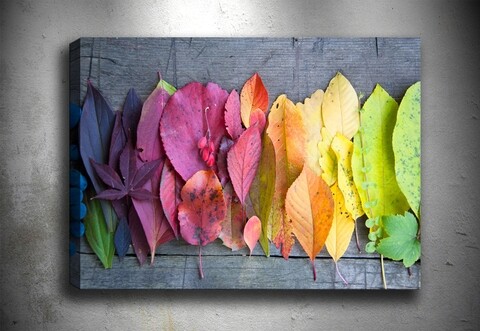 Poza Tablou decorativ Autumn Palette, Tablo center, 70x100 cm, canvas, multicolor