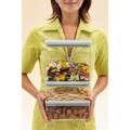 Set 3 recipiente depozitare, Brabantia, Tasty+, 2x1.5 L, 1x3.5 L, plastic, gri deschis