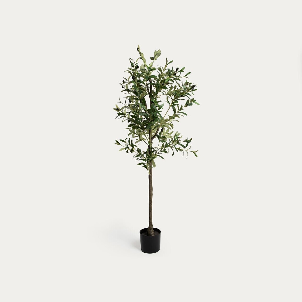 Planta artificiala maslin Greenora, Homla, 180 cm, plastic, verde inchis