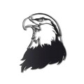 Decoratiune de perete, Noble Eagle, Metal, Dimensiune: 38 x 44 cm, Negru