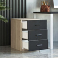 Dulapior, Locelso, Vario C, 44.5x61.8x46.6 cm, Stejar / Negru