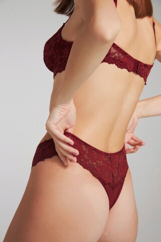 Chiloti, 556brl1705 - s, bralet, bumbac, maro