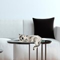 Decoratiune, Cat, 34x18x16 cm, Poliester, Multicolor
