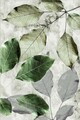 Covor, Hmnt571, 80x300 cm, Poliester, Multicolor