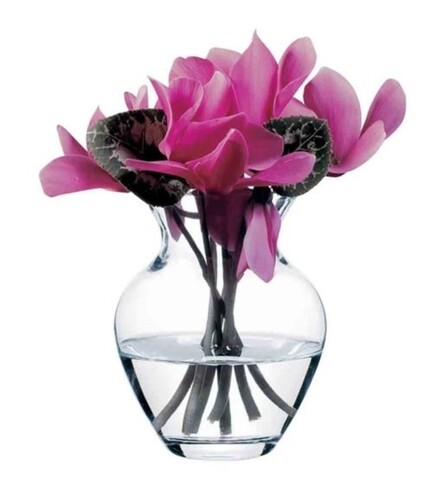 Vaza florist, pasabahce, 14.4 cm, sticla, transparent