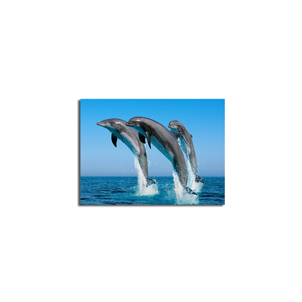 Tablou decorativ, 3040C-28, Dimensiune: 28 x 38 cm, Multicolor - view 4