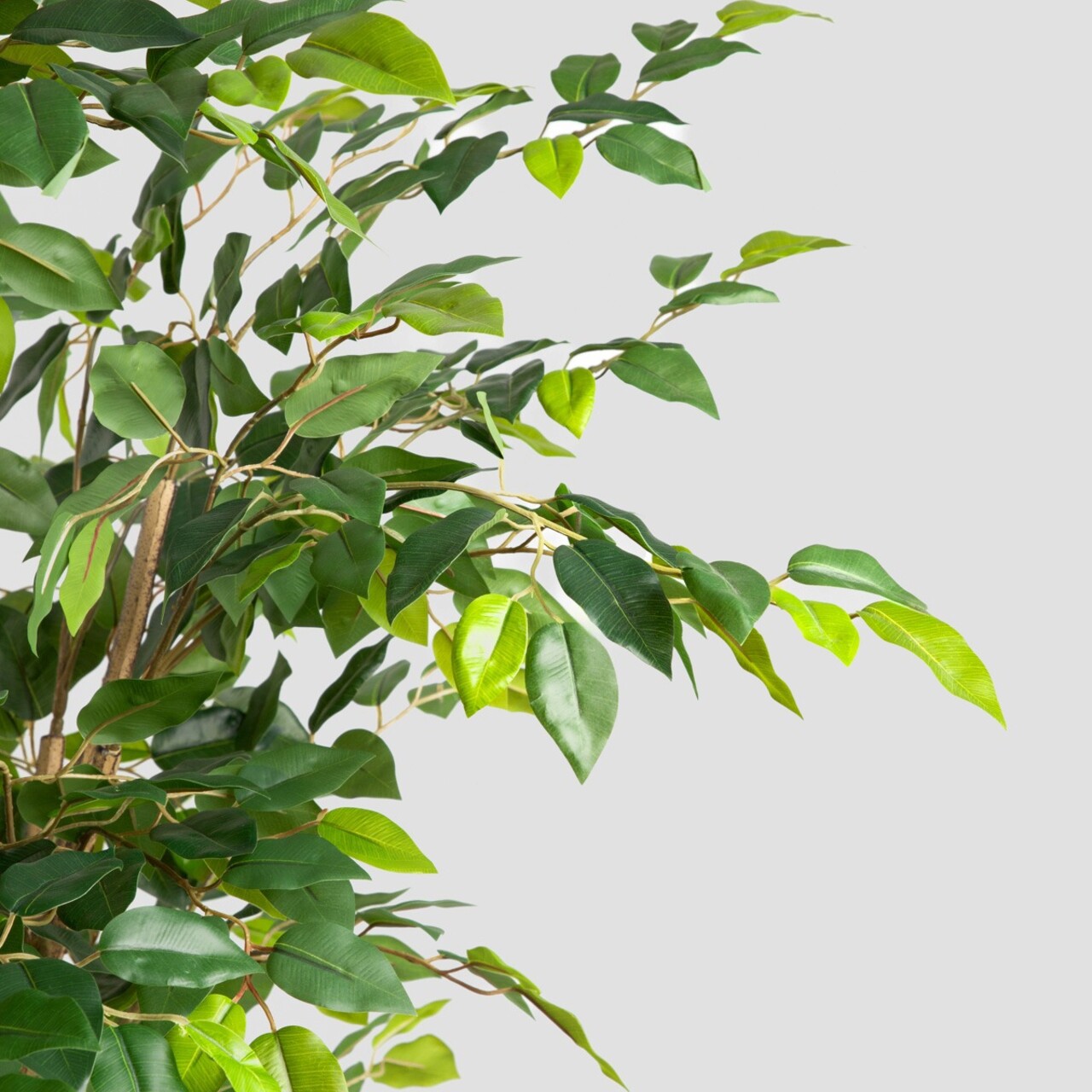 Planta artificiala ficus Topical Zone, Homla, 170 cm, plastic, verde - view 3