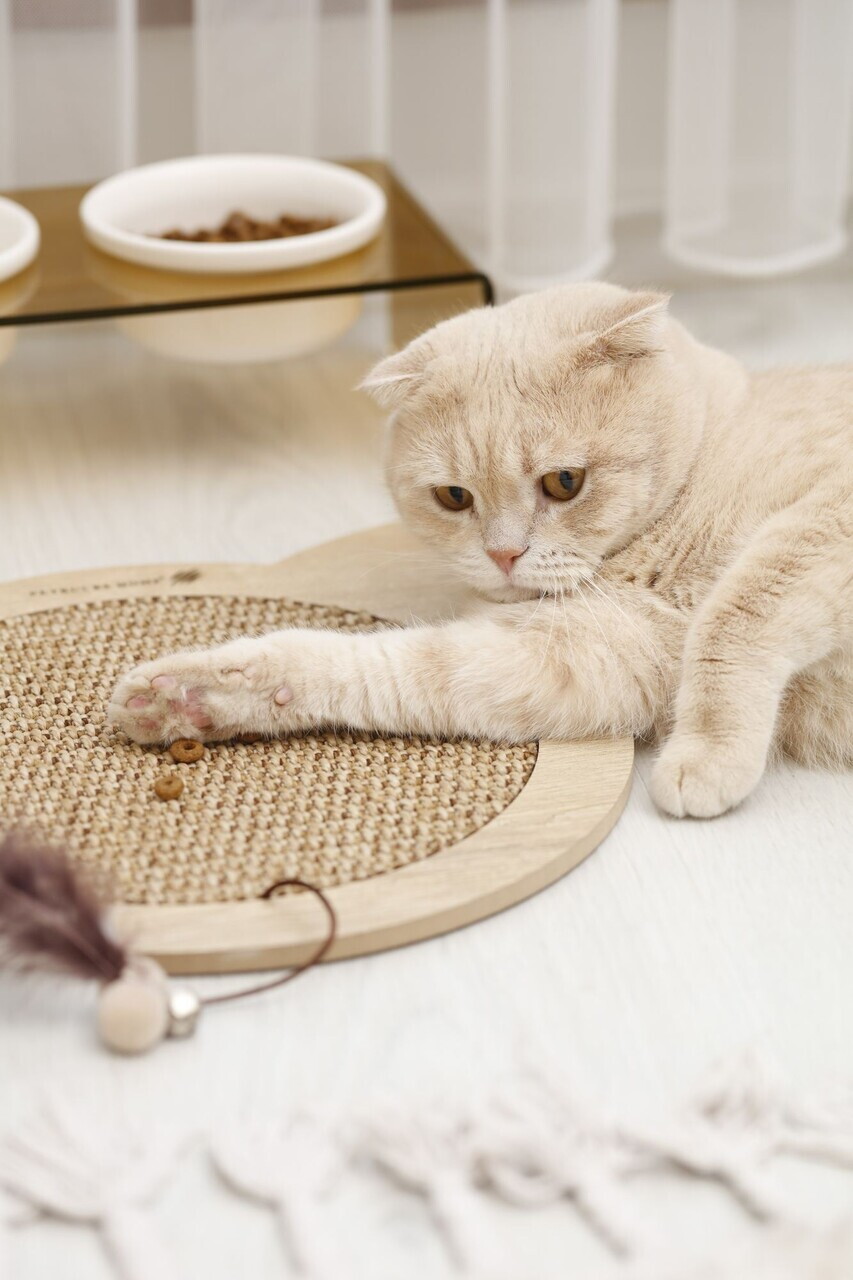 Covoras de zgariat pentru pisici, Paws &amp; Whiskers, Kedi, MDF, Bej - 2