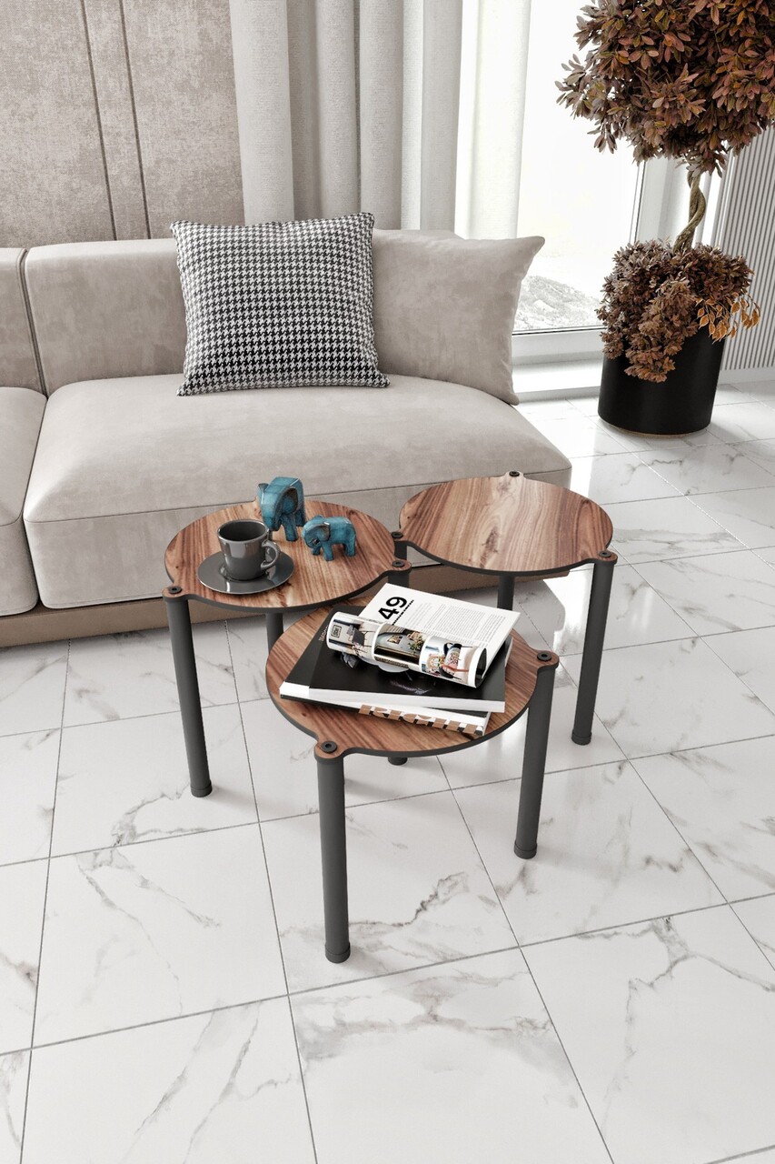 Set masute 3 piese, Hanah Home, Lavia 3, MDF , Maro - imagine 2