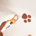 Lenjerie de pat King Size, Corgi, Homla, 3 piese, 200x220 cm, microfibra din poliester, multicolor