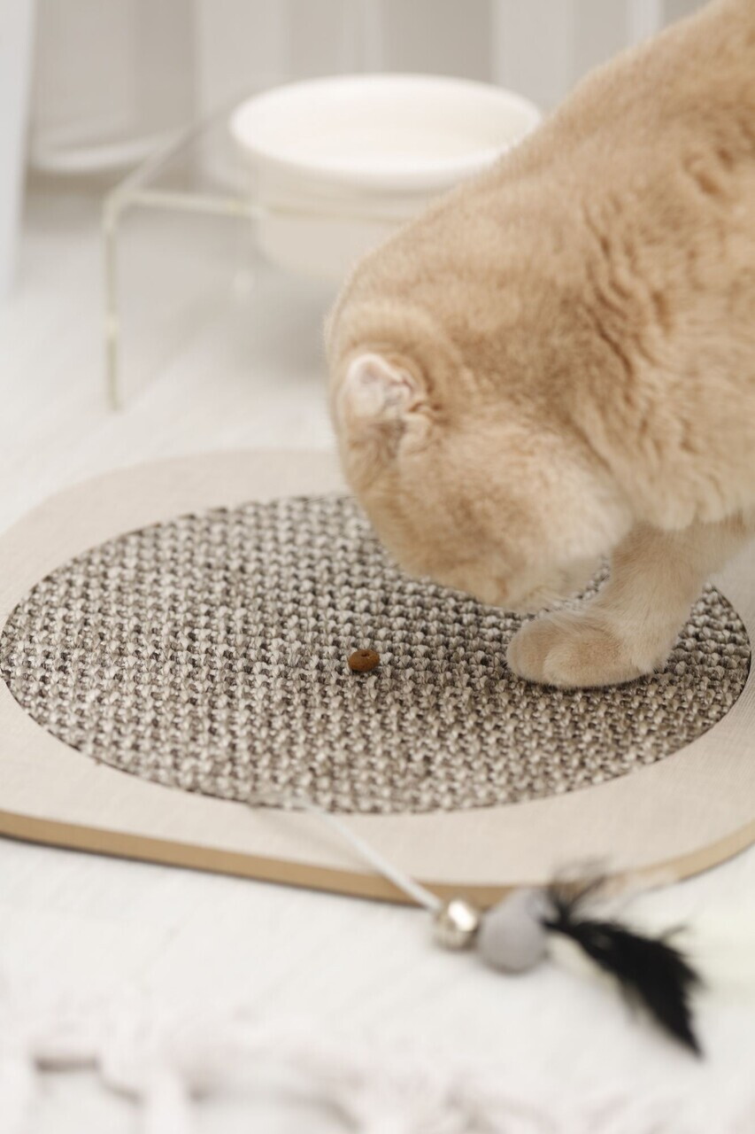 Covoras de zgariat pentru pisici, Paws &amp; Whiskers, Yuvarlak, MDF, Gri - 2