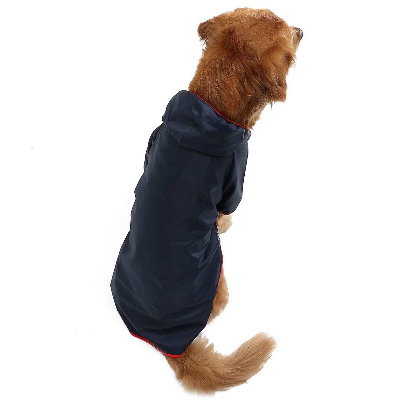Hanorac pentru câini, Paws &amp; Whiskers, Navyraincoat, Albastru navy - imagine 3