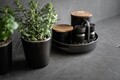 Cutie depozitare alimente, Wenko, Mio, 11 x 11 x 8.5 cm, 0.5 L, lemn/sticla/silicon, negru/maro