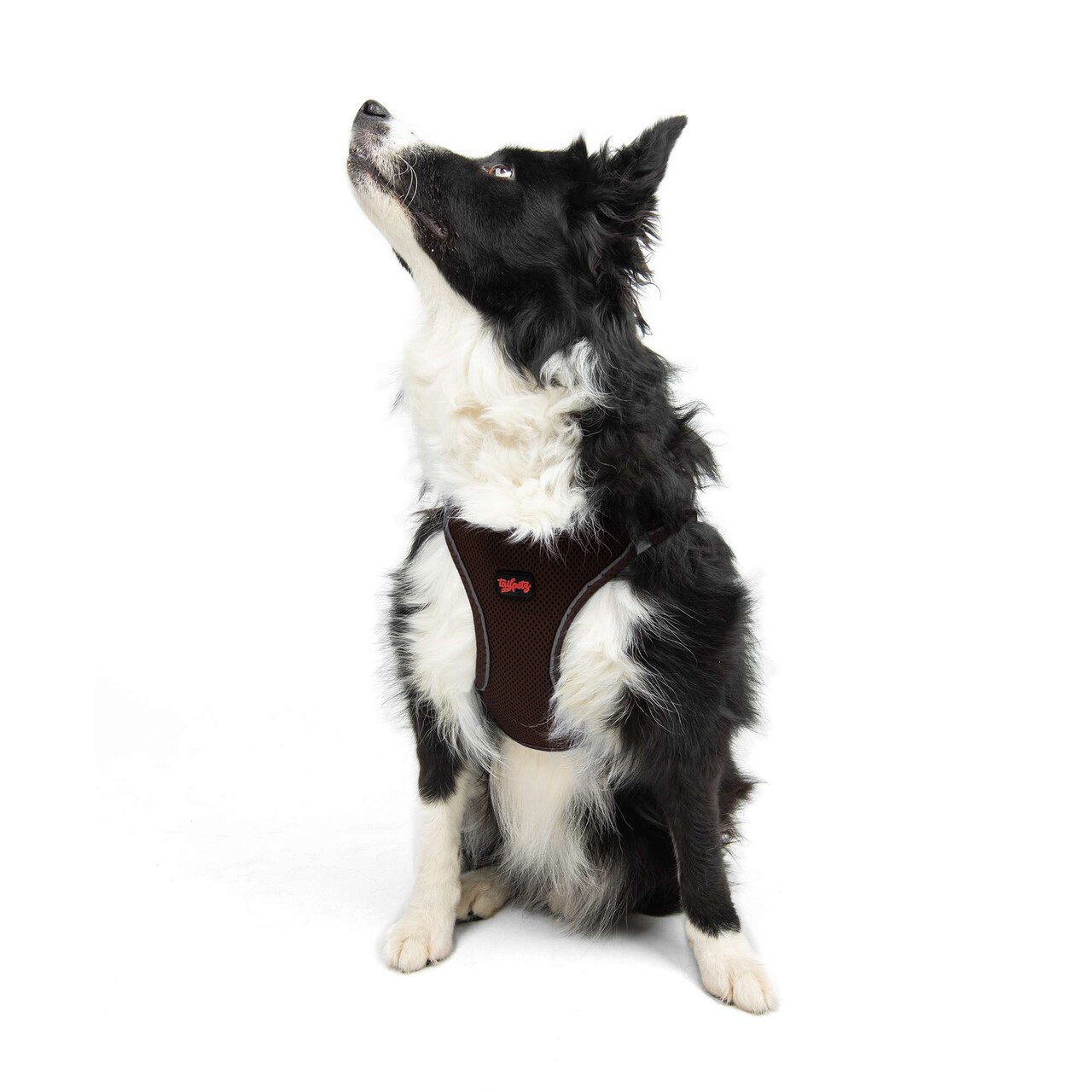 Ham pentru câini, Paws &amp; Whiskers, Air-Mesh, Maro - imagine 5