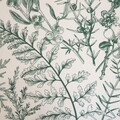 Lenjerie de pat dubla Liliane Essentials, Homla, 3 piese, 160x200 cm, microfibra din poliester, bej/verde