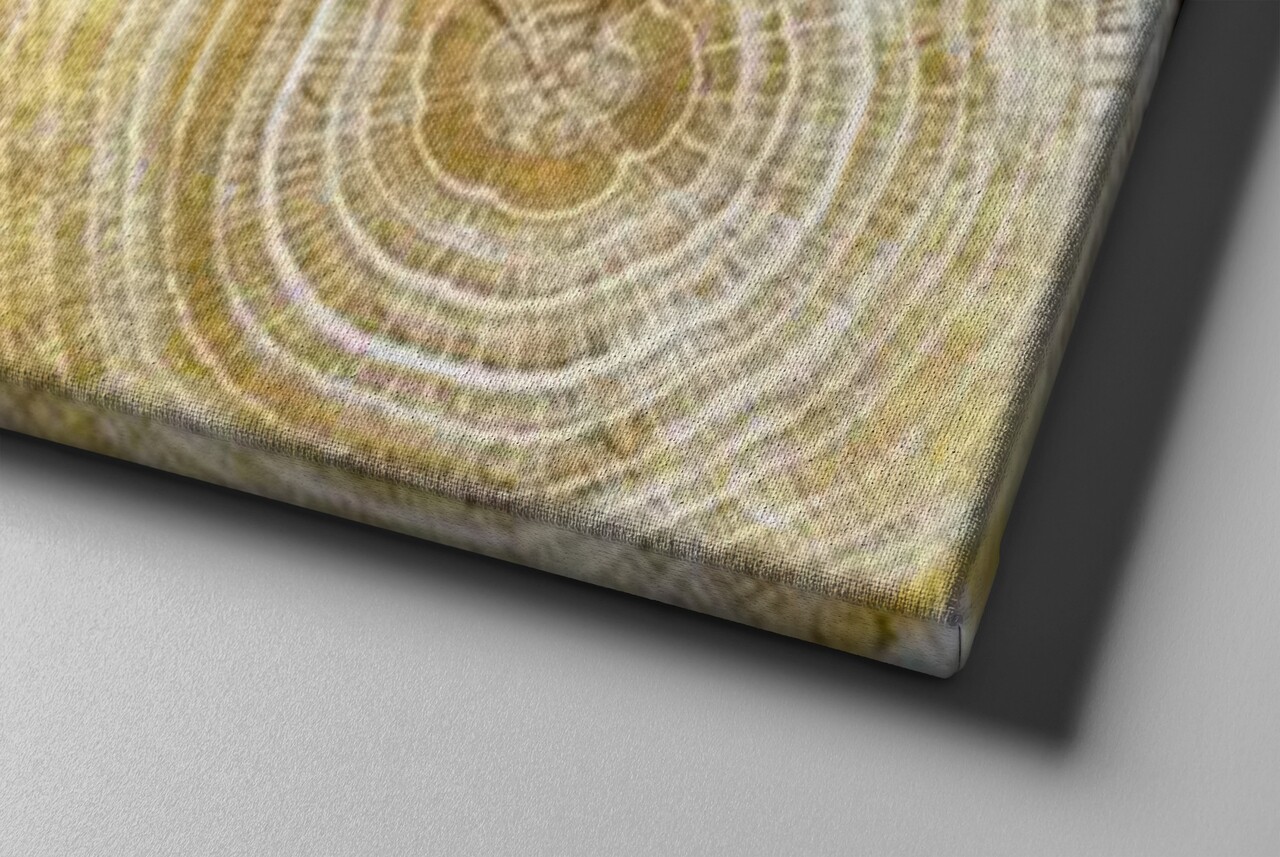Tablou decorativ, ASR_CNV25-50, Cadru: 100% lemn (Grosime: 2 x 3 cm), Multicolor - view 4