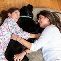 Perna de podea pentru relaxare Human Dog Bed XXL, InnovaGoods, 190 x 140 x 25 cm, poliester, bej
