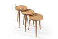 Set masute 3 piese, Hanah Home, Polen 3, LEMN MASIV DE STEJAR, Stejar