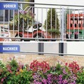 Folie paravan pentru balcon si gradina, Maximex, Flowers, 500x85 cm, plastic, multicolor