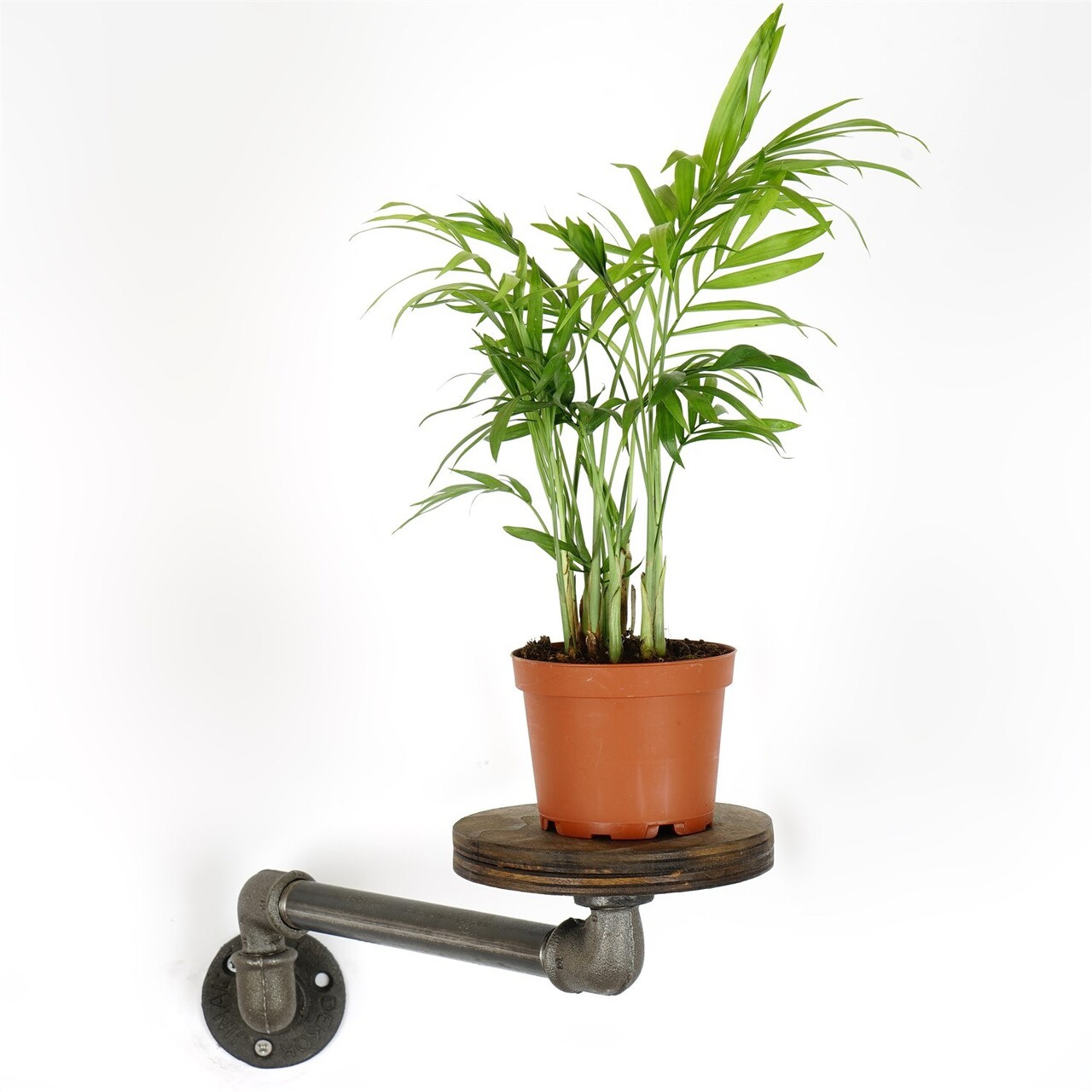 Suport pentru ghivece, BORURAF261, 35x12x10 cm, Argintiu