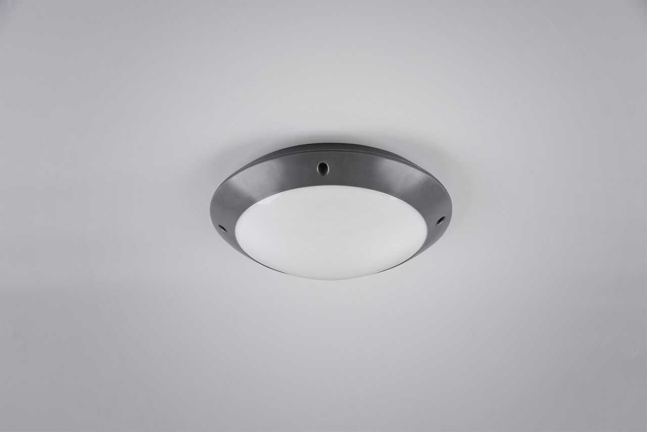 Plafoniera pentru exterior Camaro, RL, 26x8.5 cm, 12W, 1x E27, plastic, antracit