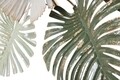 Decoratiune de perete 3D Exotic, Mauro Ferretti, 91x6x48.5 cm, fier