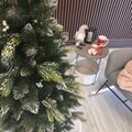 Brad artificial Christmas Deluxe by Sersimo, Diamant, 2D+3D, 150cm