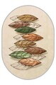 Covor, Hmnt906, 100x200 cm, Multicolor