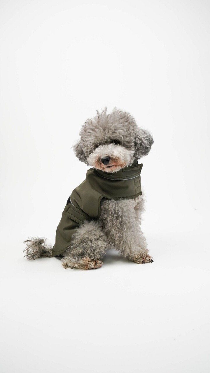 Hanorac pentru câini, Paws &amp; Whiskers, Shoft Shell Raincoat, Kaki - view 2