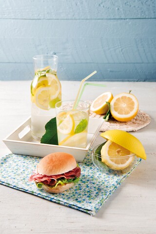 Cutie depozitare lamaie, Snips, Lemon Keeper, 12 x 9.5 x 9 cm, plastic
