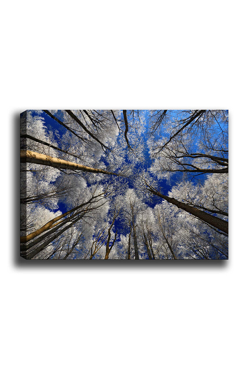 Tablou decorativ, Kanvas Tablo (70 x 100), Cadru: 100% LEMN (grosime: 3 cm), Multicolor - view 2