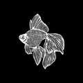 Decoratiune de perete, Goldfish, Dimensiune: 50 x 60 cm , Negru