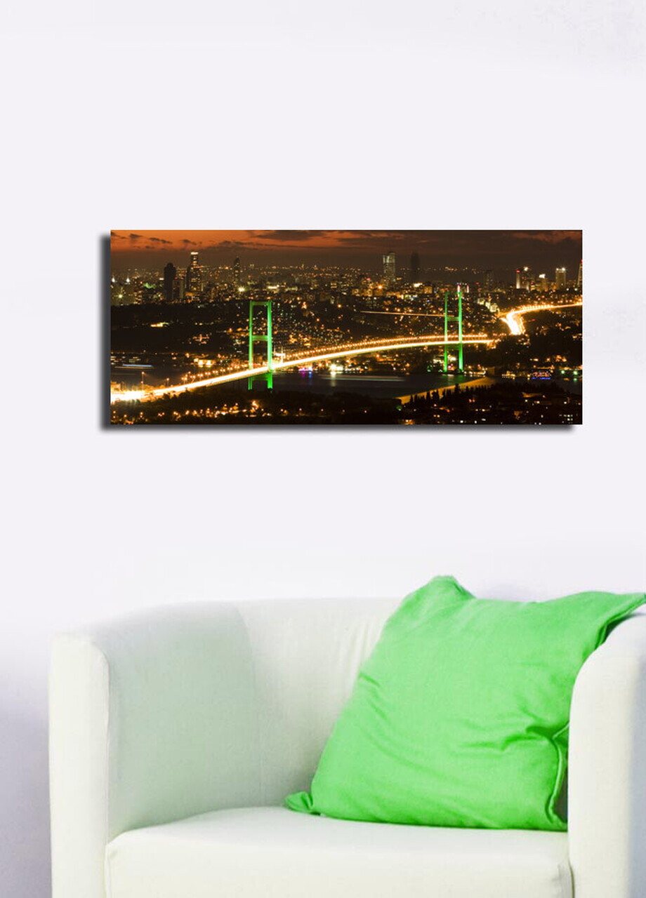 Tablou decorativ, 3070C-48, PÂNZĂ DIN PIELE ÎNTOARSĂ, 30 x 70 cm, Multicolor — imaginea 3