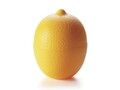 Recipient cu agatatoare pentru depozitat lamaie taiata in frigider, Lemon, Excelsa, 8x8 cm