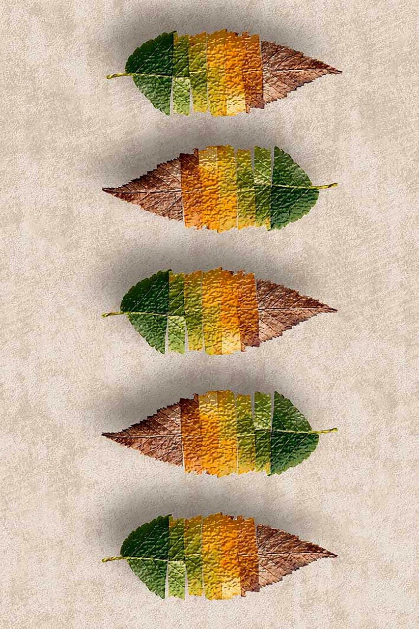 Covor, Hmnt567, 80x300 cm, Poliester, Multicolor — imaginea 2
