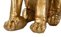Statueta decorativa, Lion, Mauro Ferretti, 67 x 36.5 x 80 cm, polirasina, auriu