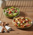Set de boluri pentru salată, Hermia, 639OKK1231, Transparent