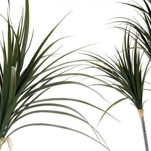 Planta decorativa Dracaena marginata, Ibergarden, 85x80x140 cm, plastic