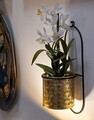 Suport ghiveci cu fixare pe perete Holderhong, Mauro Ferretti, 14x14x37 cm, fier, negru/auriu