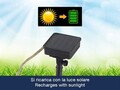 Ghirlanda solara decorativa pe franghie Beper, autonomie 10 ore, 384.5x6.5x23 cm, plastic/sticla, natur/transparent