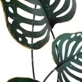 Decoratiune de perete Exotic Murale, Homemania, 24.5 x 61 cm, metal