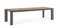 Masa extensibila pentru gradina/terasa Cameron, Bizzotto, 228-294 x 100 x 75 cm, aluminiu/lemn de tec, gri carbune/natural