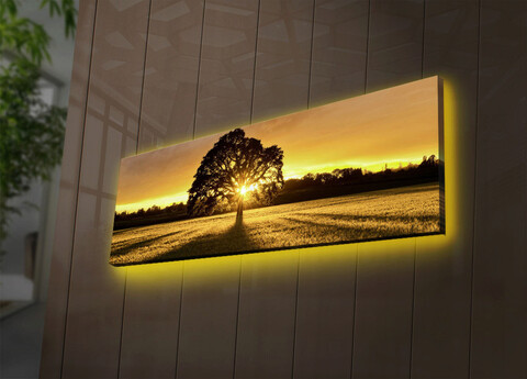Tablou decorativ cu lumina LED, 3090DACT-68, Canvas, 30 x 90 cm, Multicolor Ledda