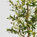 Planta artificiala Ailia, Homla, 180 cm, plastic, verde