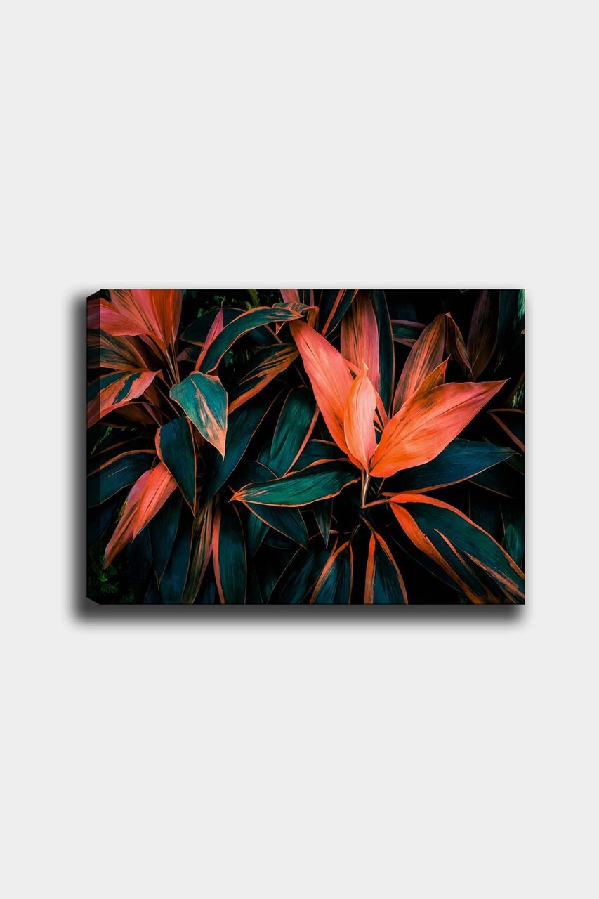 Tablou decorativ, 1376630357-5070, Cadru: 100% LEMN (grosime: 3 cm), Multicolor - view 2